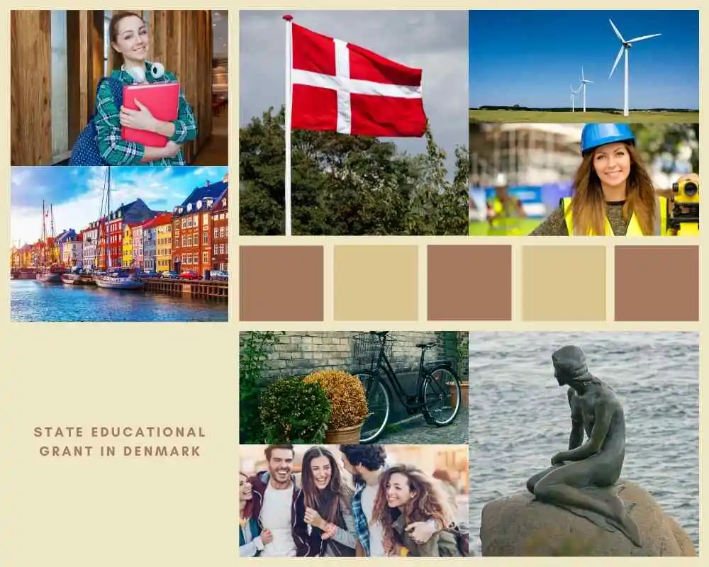 state educational grant in Denmark