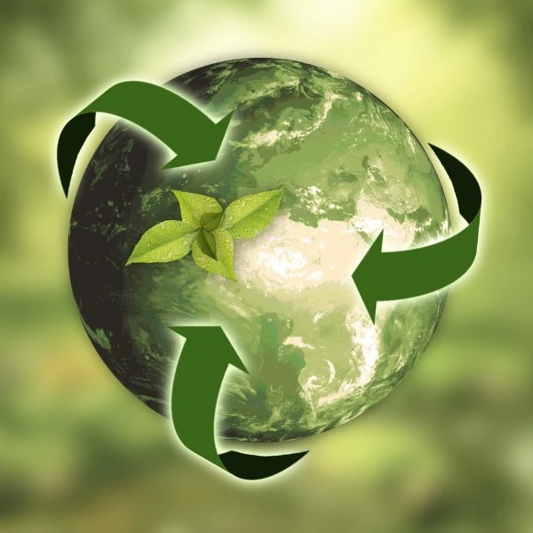 bæredygtighed